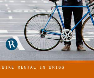 Bike Rental in Brigg