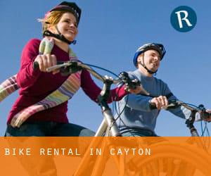 Bike Rental in Cayton