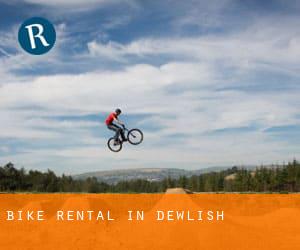 Bike Rental in Dewlish