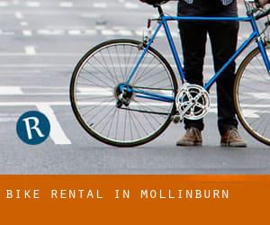 Bike Rental in Mollinburn